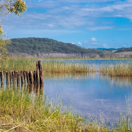 كاباريتا بيتش Cabarita Lake Apartments المظهر الخارجي الصورة