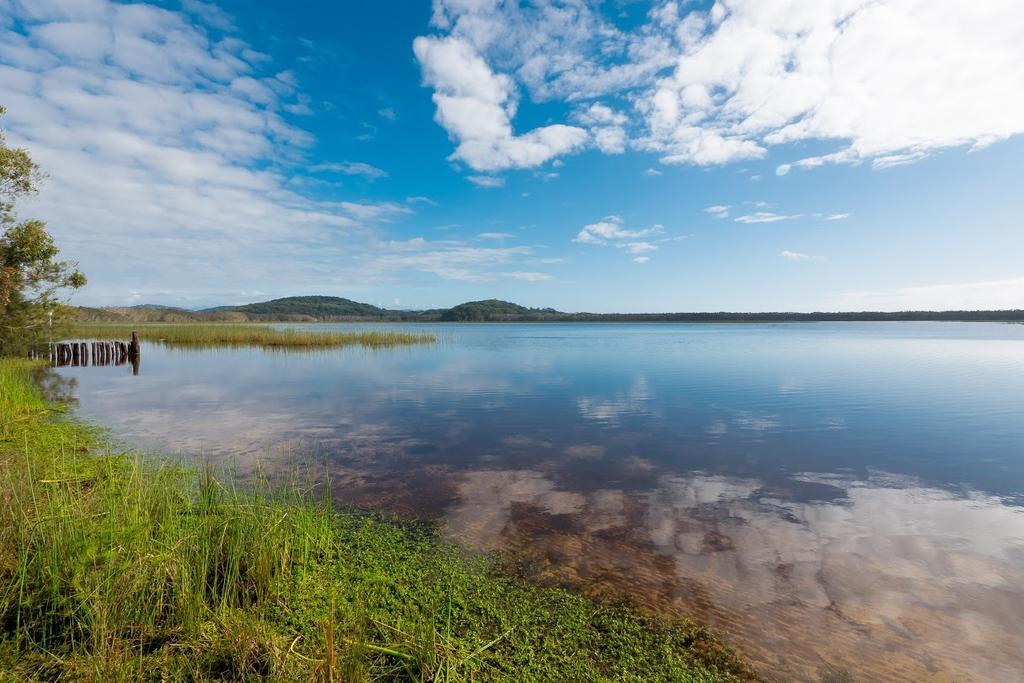 كاباريتا بيتش Cabarita Lake Apartments المظهر الخارجي الصورة