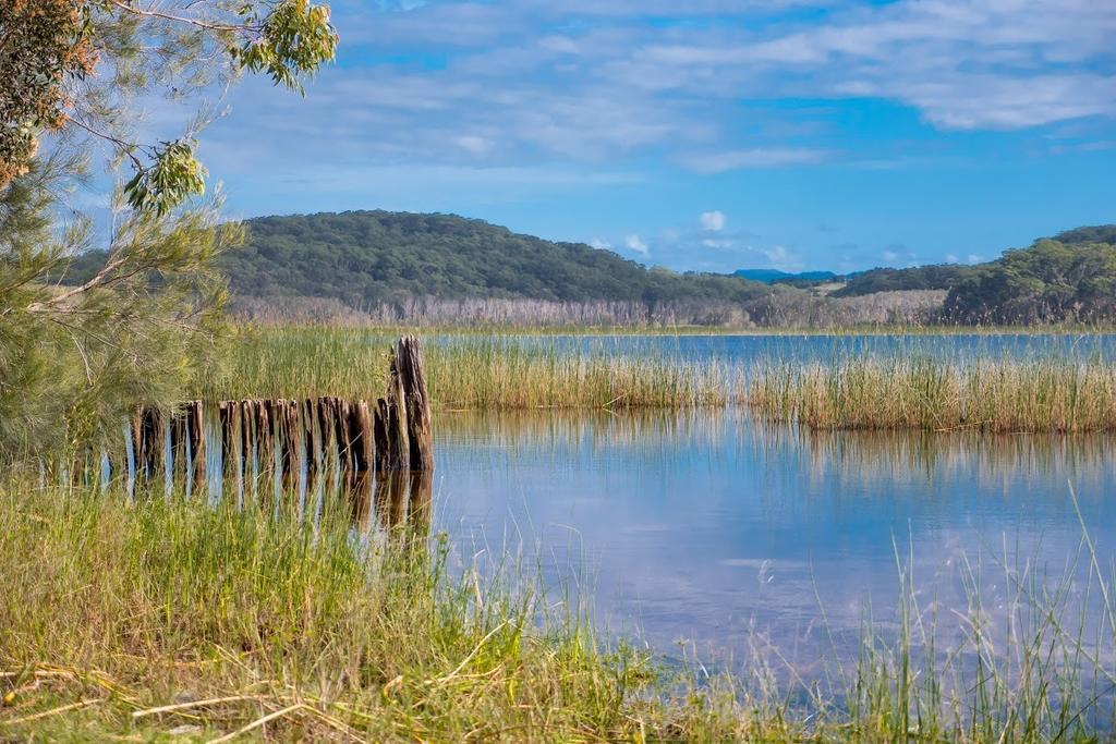 كاباريتا بيتش Cabarita Lake Apartments المظهر الخارجي الصورة